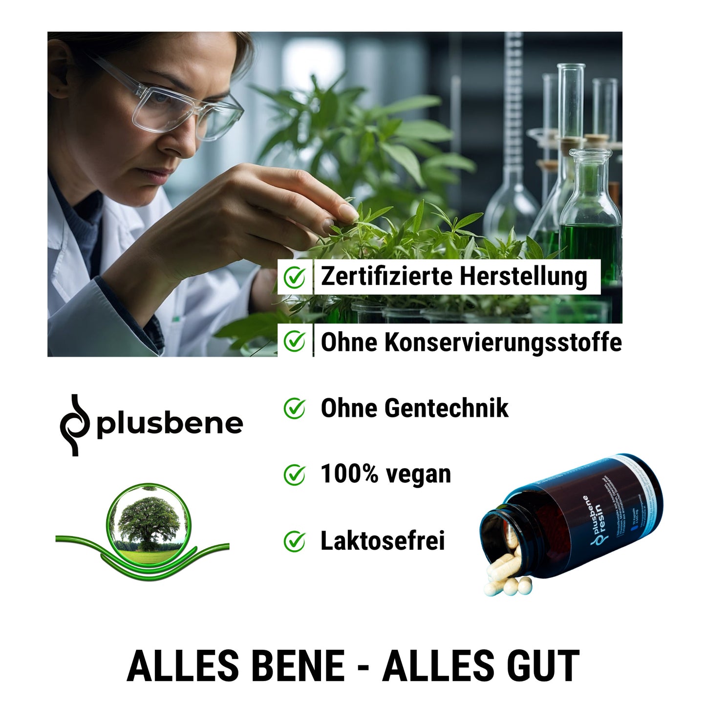 plusbene-resin