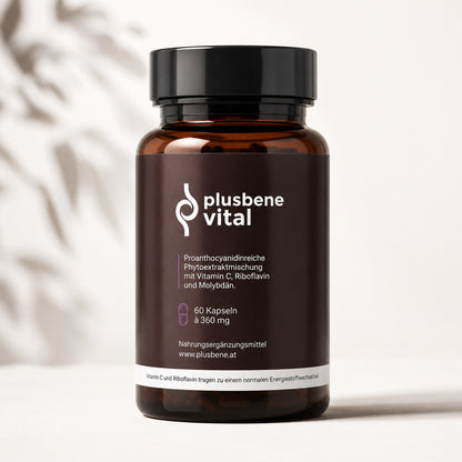 plusbene-vital – 60 Kapseln à 360 mg, Nahrungsergänzungsmittel mit OPC, Vitamin C, Riboflavin und Molybdän