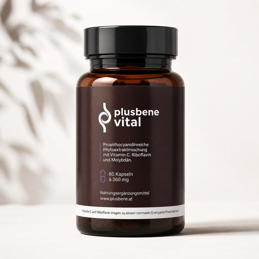 plusbene-vital – 60 Kapseln à 360 mg, Nahrungsergänzungsmittel mit OPC, Vitamin C, Riboflavin und Molybdän
