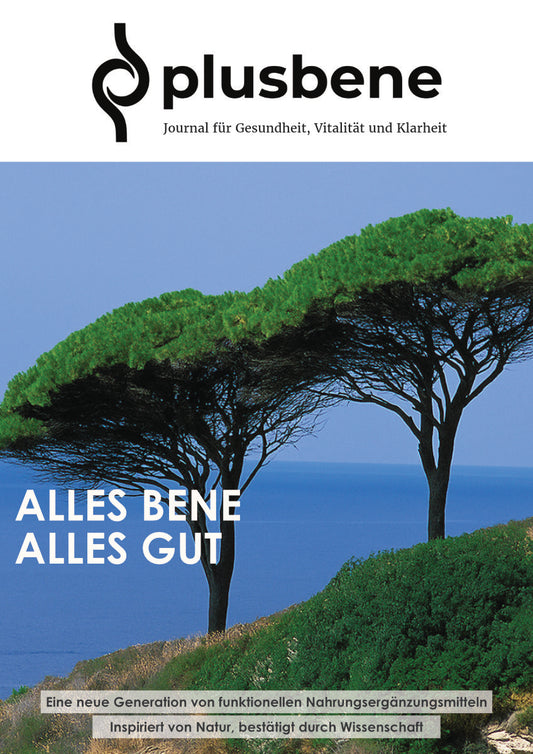 Kostenloses Journal - Ausgabe 1/2026